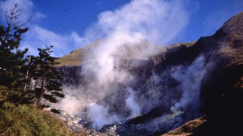 Yangmingshan Xiaoyoukeng + Qingtiangang + Shilin Residence + Martyrs' Shrine one-day tour Day Tours