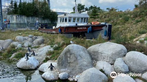 Wildlands Adventure Zoo Emmen - HolidaySG