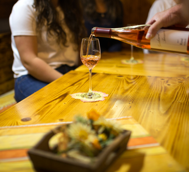 Winetasting with tour through the winery