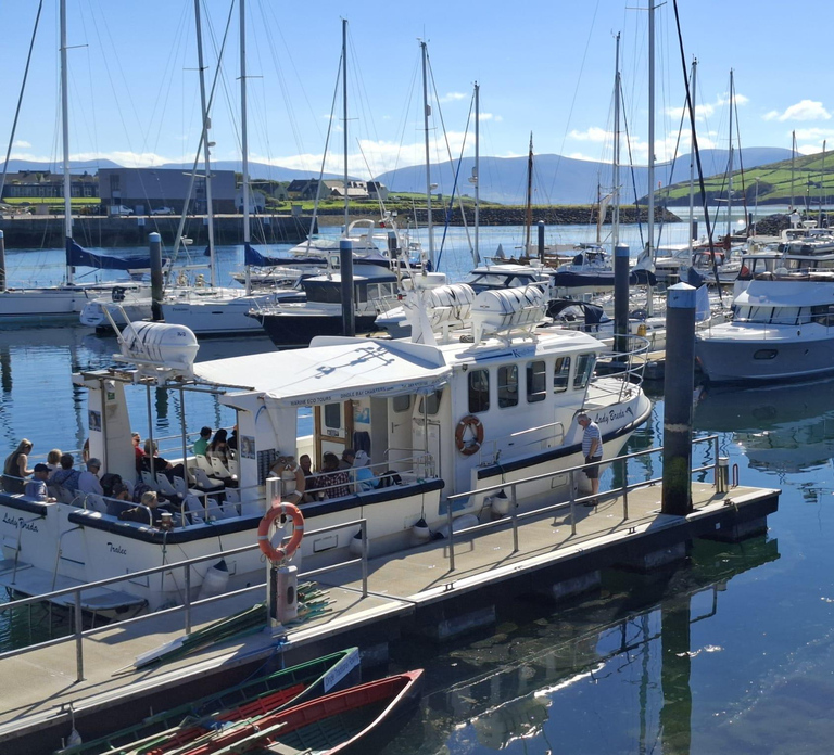 Dingle: Blasket Island Eco Tour with Wildlife Watching
