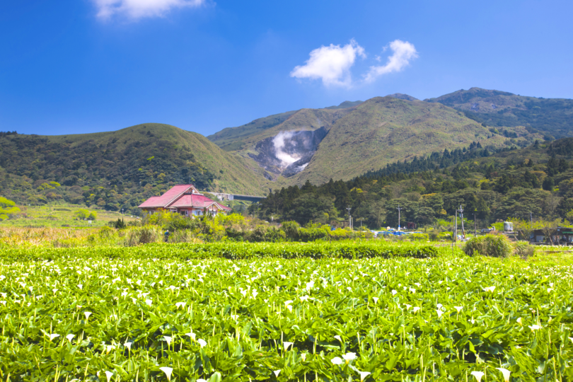Yangmingshan National Park & Beitou