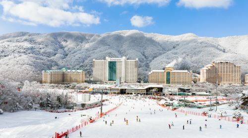 Vivaldi Park Winter Ski Resort + Eobi Ice Valley Day Tour (From Seoul, Ski Snowboard Sled, with Clothes & Basic Lesson) Day Tours
