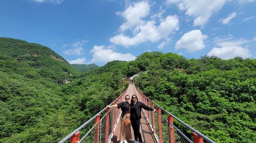 Insightful DMZ Tour by Expert opt. Suspension Bridge with Pickup Day Tours