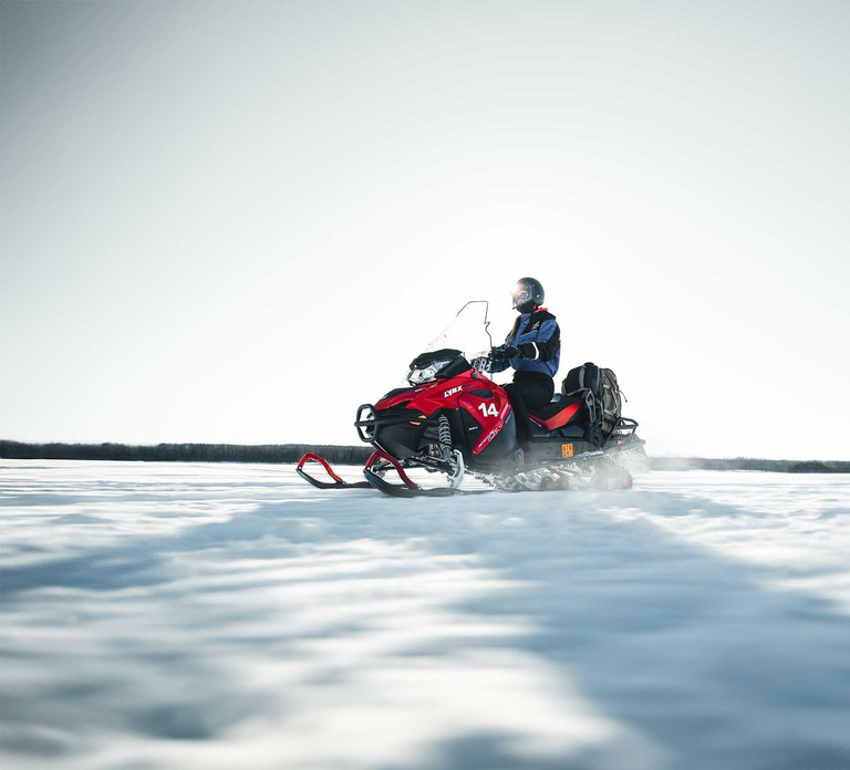 Rovaniemi: Snowmobile Safari into the Wilderness