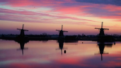 Amsterdam: Zaanse Schans, The Hague & Rotterdam Tour Day Tours