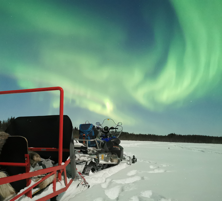 Rovaniemi: Northern Lights Sledge Ride