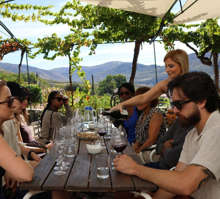 Douro Valley: Half-Day, with 1 winery & 1-h boat tour
