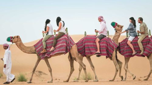 Dubai Platinum Heritage Desert Safari with BBQ Dinner Day Tours