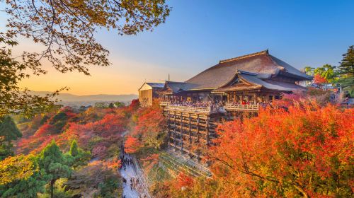 One-Day Tour of Nara Park and Kyoto's Ancient Temples Day Tours