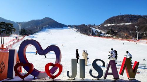 Jisan Forest Resort, South Korea [Jisan Resort Skiing/Sledding 1-day tour] Day Tours