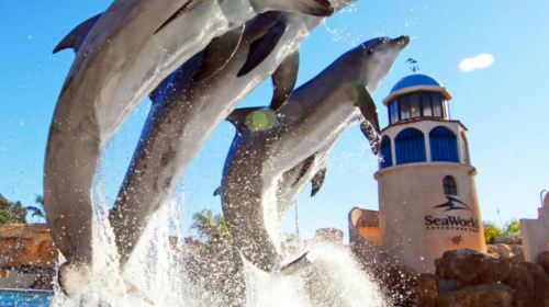 Los Angeles, USA Round-trip San Diego Old Town + Sea World one-day tour Day Tours