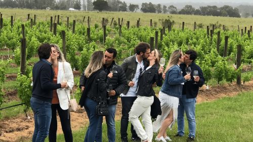 San Francisco: Napa Valley Half-Day Wine Tour with Tastings Day Tours