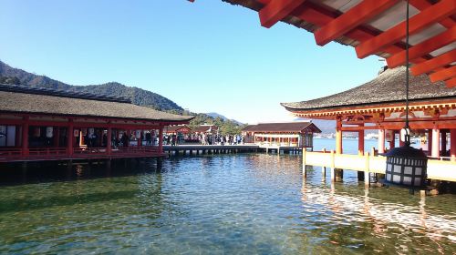 Osaka/Kyoto: Hiroshima Miyajima Bus Tour & Shinkansen Ticket Day Tours