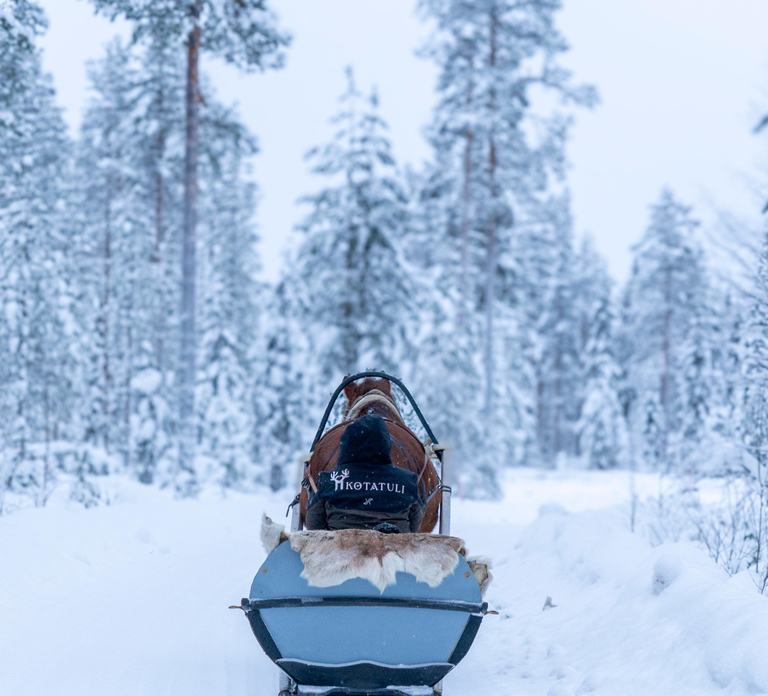 Rovaniemi: Horse-Drawn Sleigh Ride with Snacks and Transfer