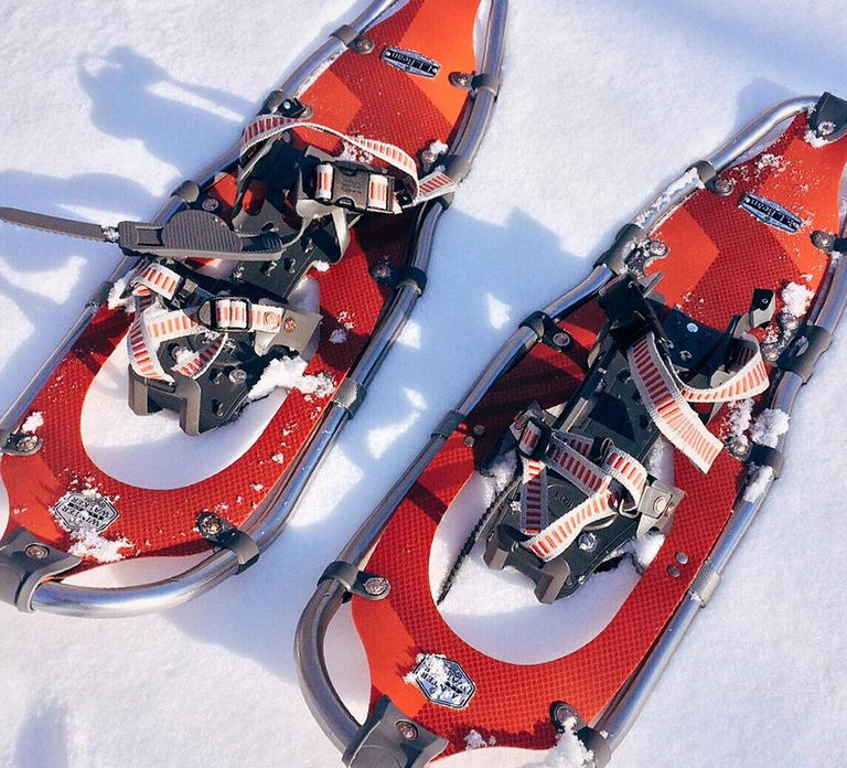 Rovaniemi: Snowshoeing, Ice Fishing and Salmon in Kota