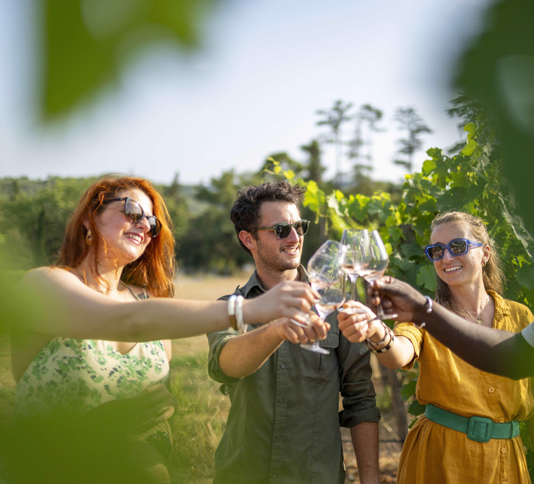 Provence Wine Tour - Small Group Tour from Cannes