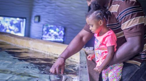 San Antonio Aquarium: Entry Ticket