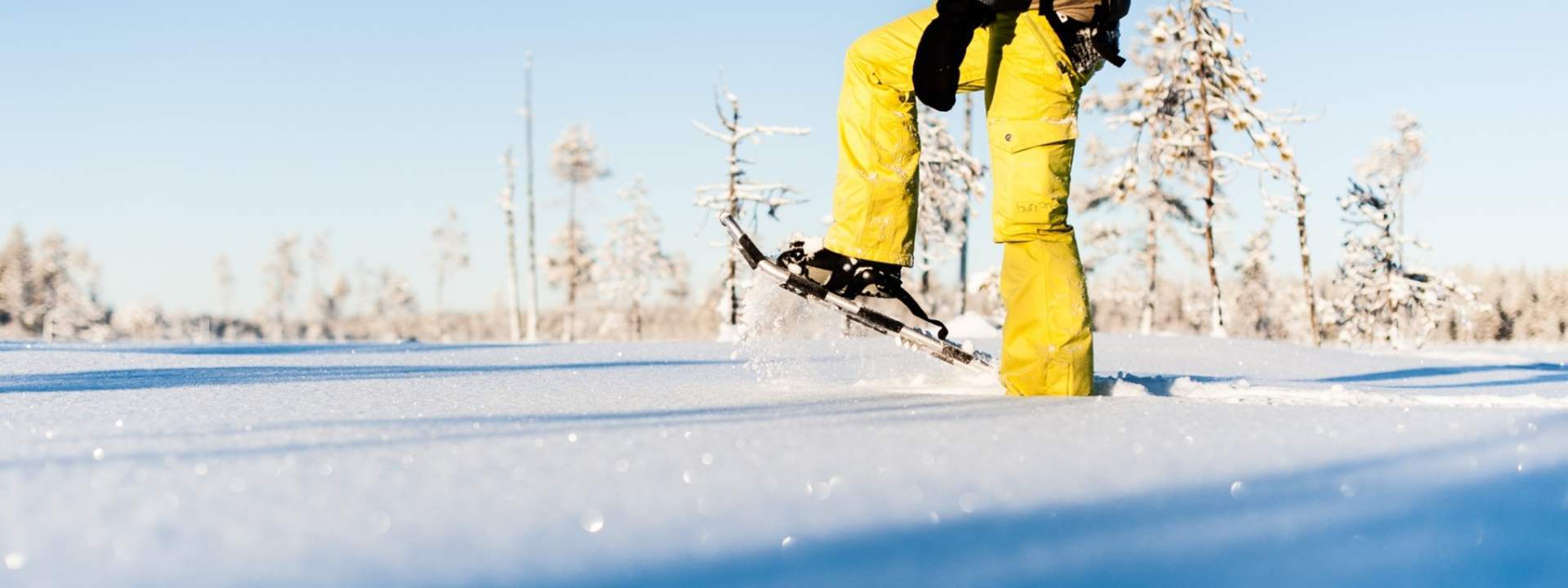 Snowshoeing Experience in Lulea