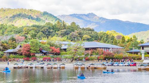 Hozugawa River Boat Ride (Hozugawa Kudari) - HolidaySG