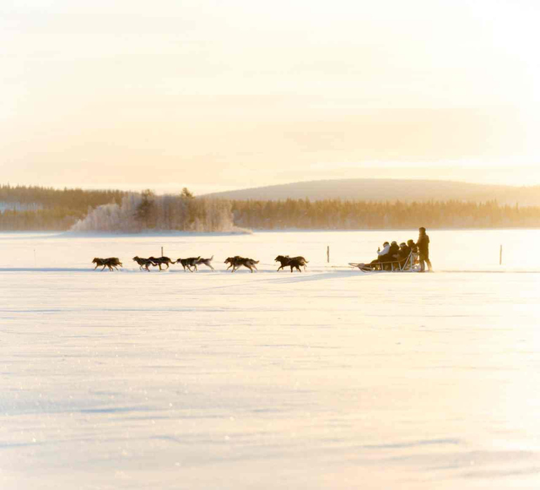 Kemijärvi: Insider Husky Self-Drive 5km Safari