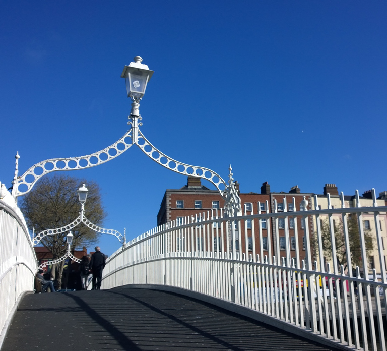 Dublin: Private City Tour in German