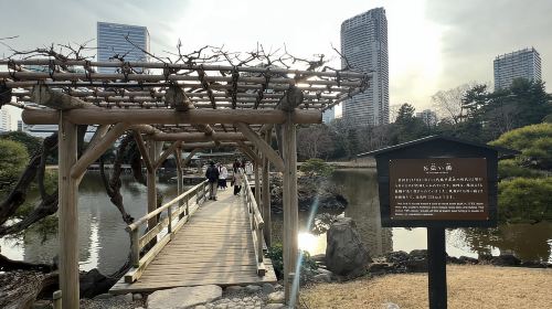 Tokyo: Japanese Garden Walking Tour with Tea and Sweets