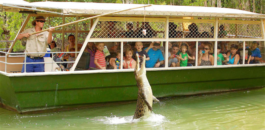 Hartleys Crocodile Adventures General Admission - HolidaySG