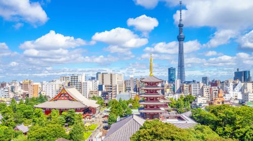Tokyo City Day Tour [Optional Group/Charter Tour, Same Route as Kakala Tour] Day Tours