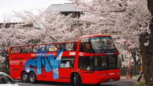Kyoto Sky Hop Bus hop-on hop-off bus ticket (1-day / 2-day) Transport Passes
