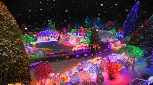 Winter Special | From Seoul: Eobi Valley + Nami Island + Morning Calm Arboretum Day Tours