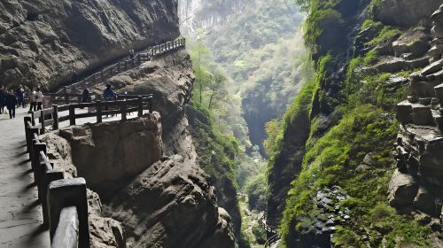 Chongqing Wulong Tiansheng Three Bridges + Longshuixia Ground Crack (English guide optional)|World Natural Heritage Day Tours