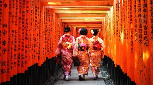 Kyoto/Osaka: Kyoto and Nara World Heritage Day Tour Day Tours