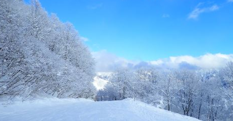 Private Ski Lessons in Sahoro, Hokkaido [Internationally Certified Instructors | Instruction in Chinese/English]