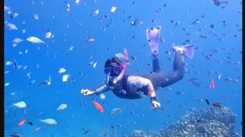 Snorkeling Experience in Ishigaki Island