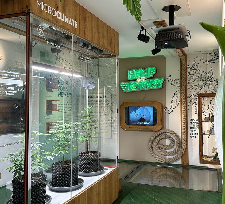 Amsterdam: Cannabis Museum Entry Ticket