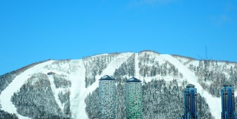 Private Ski Lessons at Hoshino Resorts TOMAMU, Hokkaido [Officially Registered Ski School | Internationally Certified Instructors | Lessons in