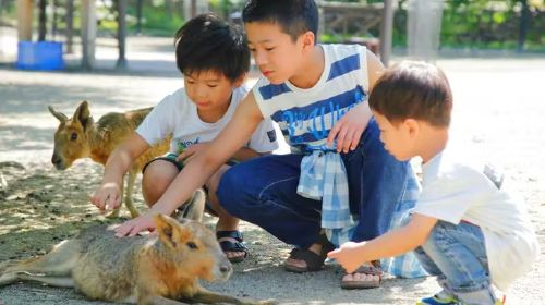 Nagasaki Bio Park