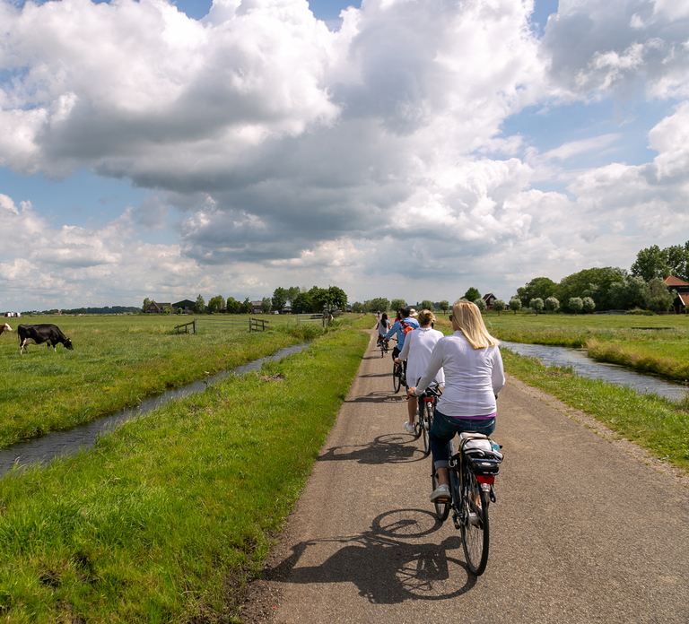 Amsterdam: Windmill & Dutch Cheese farm electric bike tour