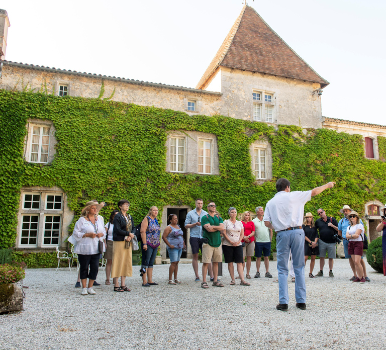 Bordeaux: Vineyards Wine Tasting Half-Day Trip