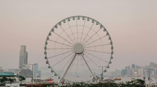 Hong Kong Walking Tour Central Half Day Tour Boutique Small Group Star Ferry + Ferris Wheel + Man Mo Temple + Mosque Street Day Tours