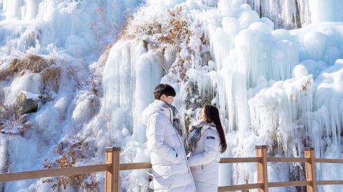 Eobi Ice Valley + Nami Island +  Gangchon Railbike One Day Tour (Departing from Seoul, Winter Exclusive) Day Tours