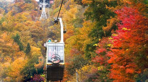 1-day tour with free cable car · Tokyo Fuji mountain Kawaguchiko panoramic cable car · viral Lawson · Oshino hakkai - HolidaySG