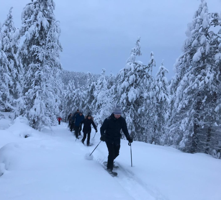 Ruka: Pyhävaara Snowshoeing Tour