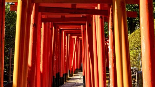 Tokyo: Old Town History Walking Tour(Nezu&Yanaka) Day Tours