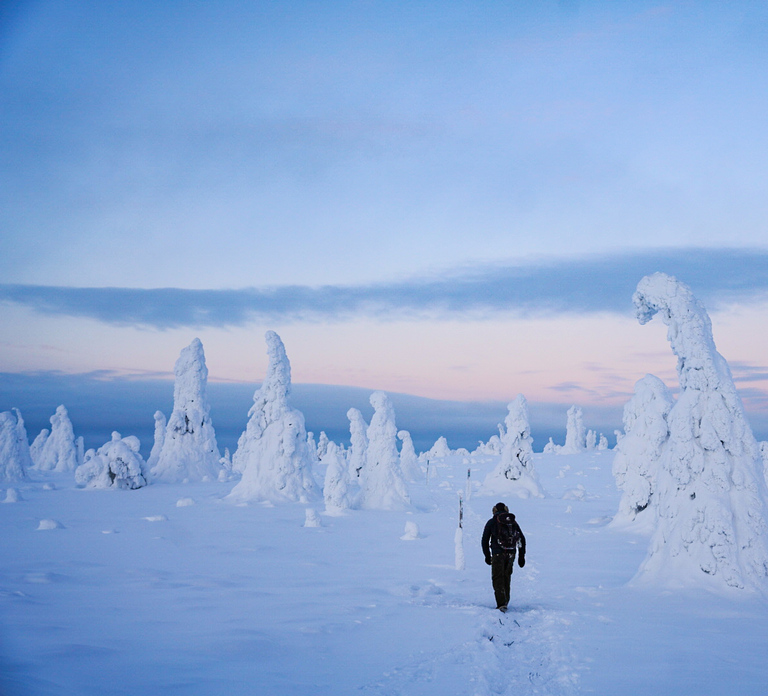 Rovaniemi: Riisitunturi National Park Day Trip with Lunch