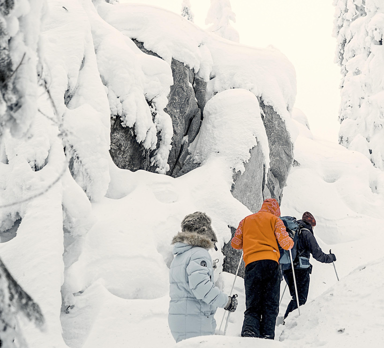 Vuokatti: Snowshoeing Adventure in the Forest