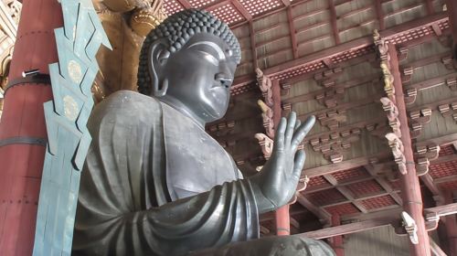 KYOTO-NARA: Giant Buddha Deer Pagoda "Geisya" (Italian, full day)
