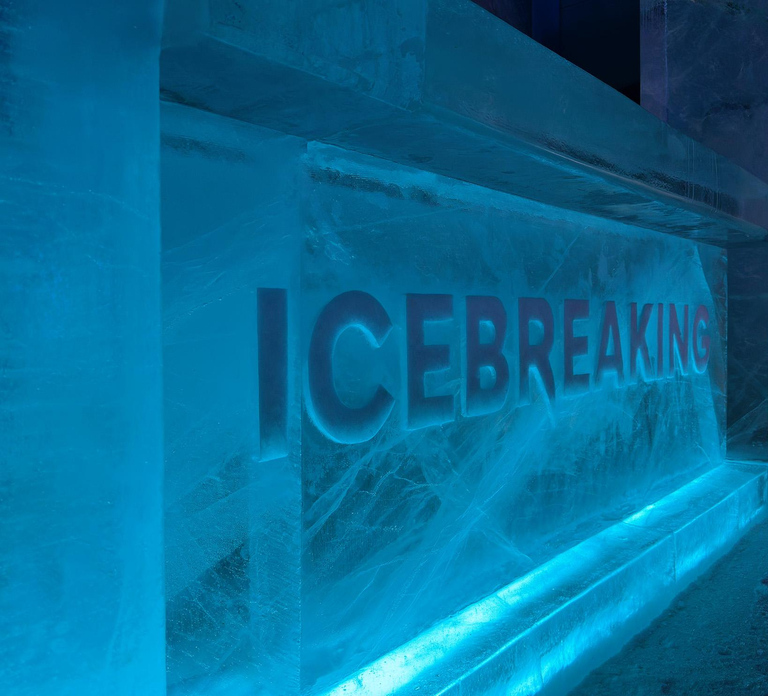 Day ticket to exhibitions in the Snow Castle area