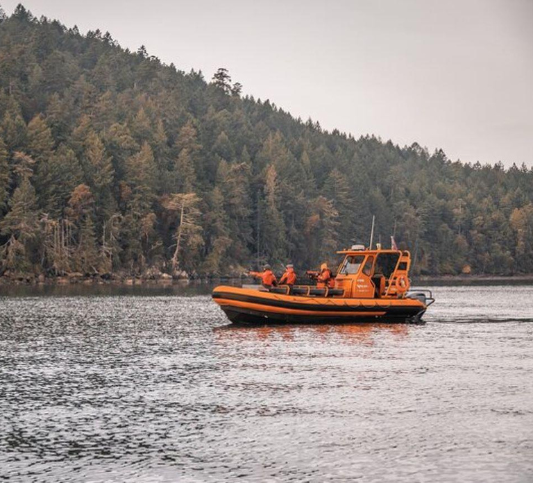 Nanaimo: Whale Watching Open Boat Tour