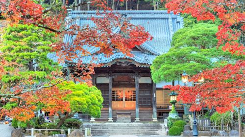 JR PASS Mount Fuji, Shizuoka area 3-day pass - Delivery Coverage: Singapore, Malaysia & Brunei only